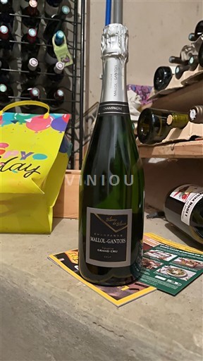 Champagne Mailly-Gantos Non-Vintage