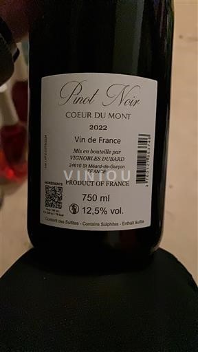Sudoeste No especificado Vignobles Dubard Coeur du Mont 2022