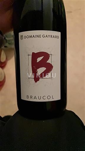 Sudoeste Gaillac Domaine Gayrard Braucol 2022