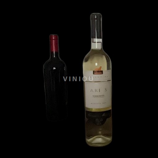 Mendoza Non specificato ARIES 2018