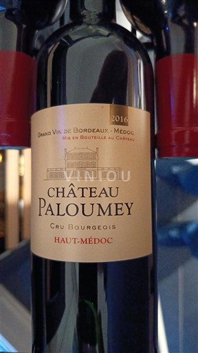 Vin Rouge sec Château Paloumey 2016 France Bordeaux Haut-Médoc AOC Cru Bourgeois