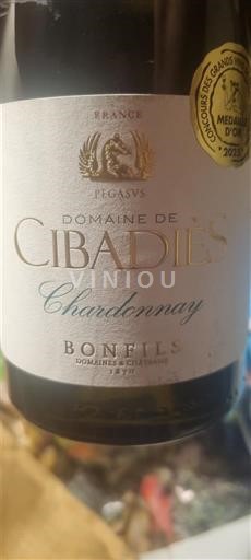 Languedoc-Roussillon Pays d'Oc Domaine Cibadiès Chardonnay 2024
