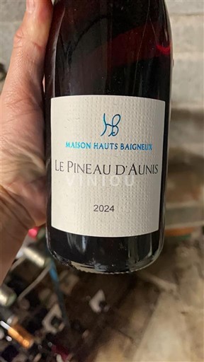 Loire-dalen Ikke specificeret Maison Hauts Baigneux Le Pineau d'Aunis 2024