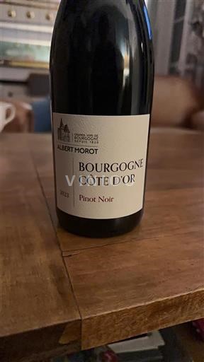Bourgondië Bourgogne Côte d'Or Albert Morot Pinot Noir 2023