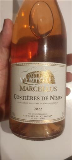 Rhône Valley Costières de Nîmes Les Caves Saint Romain Marcellus 2022