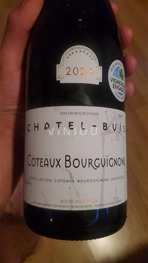 Bourgondië Bourgondische heuvels Chatel-Buis 2023