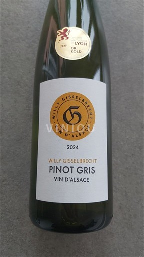 Alsazia Pinot grigio Château Willy Gisselbrecht 2024