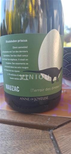 Languedoc Määrittelemätön Anne de Joyeuse Terroir des dinosaures Ei vuosikertaa