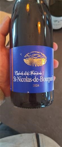 Valle della Loira Saint-Nicolas-De-Bourgueil Cuvée de la Forcine 2024