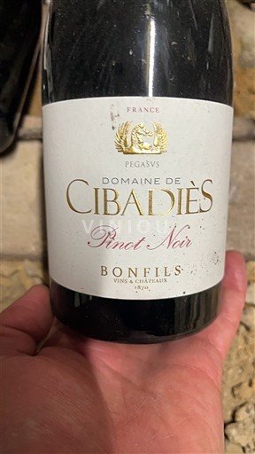 Languedoc Domaine Cibadiès Pinot Noir 2022