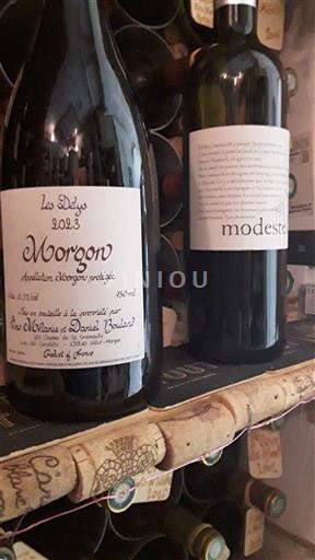 Beaujolais Morgon Jean-Marc et Daniel Barraud Les Délys 2023