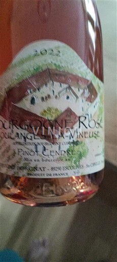 Bourgondië Bourgogne Rosé Domaine La Mineuse 2022