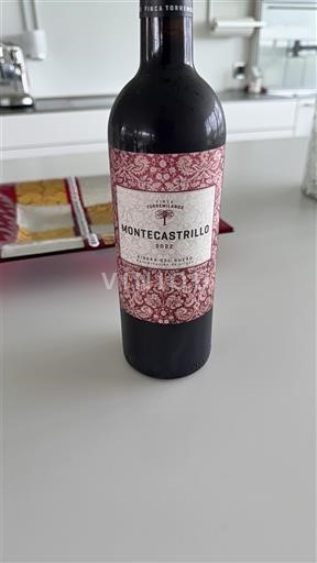 Castilien og León Ribera del Duero Finca Torremilanos Montecastrillo 2022