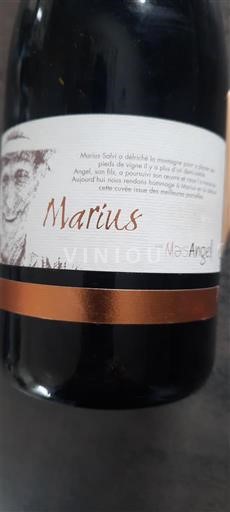 Langvedok Ni doloceno Mas Angel Marius 2018