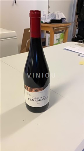 Castile and León Toro Marques de Penamonte 2021