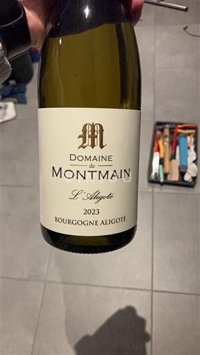 Burgundsko Bourgogne-aligoté Domaine Montmain L aligoté 2023