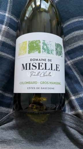 Sud-Ovest Côtes de Gascogne Domaine Miselle 2024