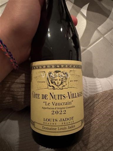 Bourgogne Côte de nuits villages Domaine Louis Jadot Le Vaucrain 2022
