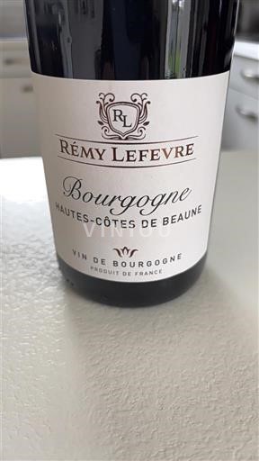 Burgundy Hautes-Côtes de Beaune Rémy Lefevre Non-Vintage