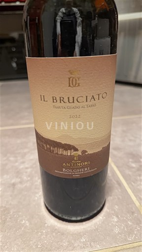 Toscana Bolgheri Tenuta Guado al Tasso Il Bruciato 2022