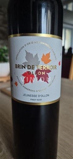 Vaud Unspecified Jeunesse Ollon Brin de Terroir 2023