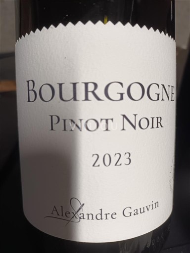 Bourgogne Alexandre Gauvin pinot noir 2023