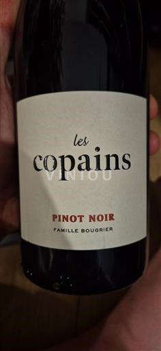 Loiredalen Ospecificerad Famille Bougrier Les Copains Icke årgångsbetecknad