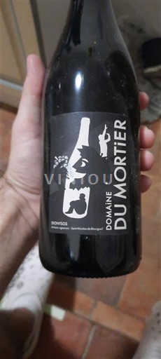 Vallée de la Loire Saint-Nicolas-De-Bourgueil Domaine Mortier 2019