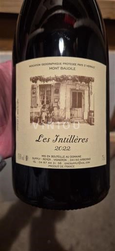 Languedoc and Roussillon Mont Baudile Les Intillières 2022