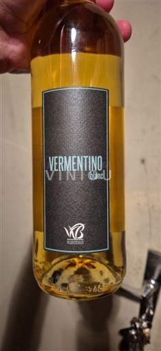 Langvedok Ni doloceno Vermentino 2021