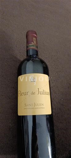 Bordeaux Saint-Julien Fleur de Julius 2019