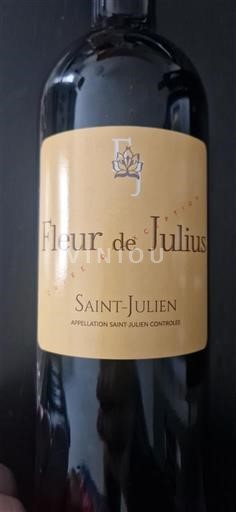 Bordeaux Saint-Julien Fleur de Julius 2019