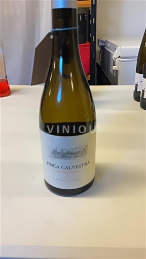 Kastilien-La Mancha Méntrida Finca Calvestra Merseguera 2017