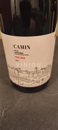 Languedoc och Roussillon Cité de Carcassonne Camin 2024