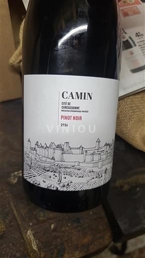 Languedoc-Roussillon Cité de Carcassonne Camin 2024