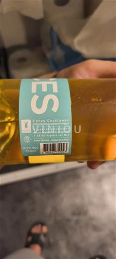 Languedoc ja Roussillon Katalonianrinteet Argeles Ei vuosikertaa
