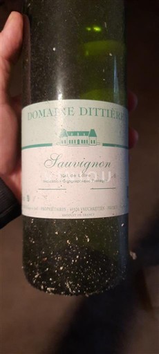 Dolina Loare Domaine Dittière Sauvignon 2021