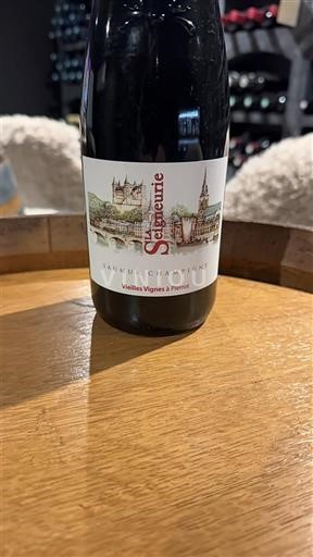 Loire-dalen Saumur-Champigny Saumur-Champigny Vieilles Vignes & Terroir 2020