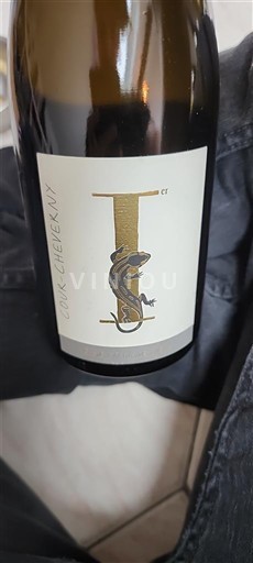 Loirevallei Cour-cheverny Vignerons de Mont-Près-Chambord Niet-geïntegreerd