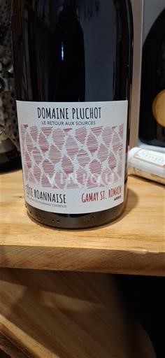 Loirevallei Côte Roannaise Domaine Pluchot Le Retour aux Sources 2023
