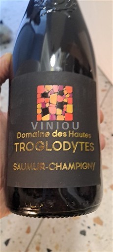 Loirevallei Saumur-champigny Domaine Des Troglodytes 2023