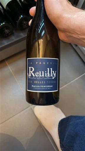Vin Blanc sec La Pagerie Les Belles Terres Baptiste Pointeau 2022 France Vallée de la Loire Reuilly AOC