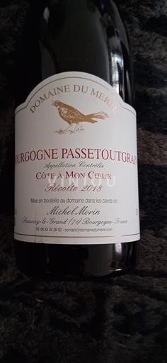 Vin Rouge sec Côte à Mon Cœur Domaine Merle 2018 France Bourgogne Bourgogne-passetoutgrain AOC