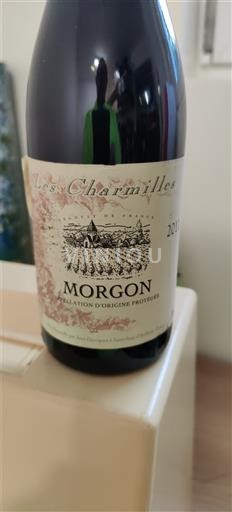 Beaujolais Morgon Les Charmilles Không niên vụ