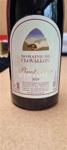 Langvedok Ni doloceno Domaine Clovallon Pinot Noir 2019