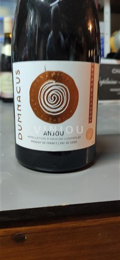 Thung lũng sông Loire Anjou Dumnacus Không niên vụ