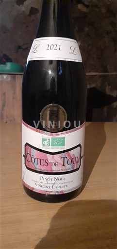 Lorraine Côtes-de-toul Vincent Carroppé 2021