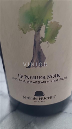 Loire Valley Unspecified Jérémie Huchet Le Poirier Noir 2020