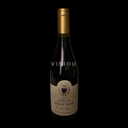 Burgundi Bourgogne Mathilde Sigaut 2024