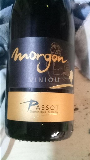 Beaujolais Morgon Passot 2023
